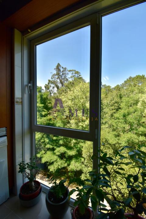 Vistas