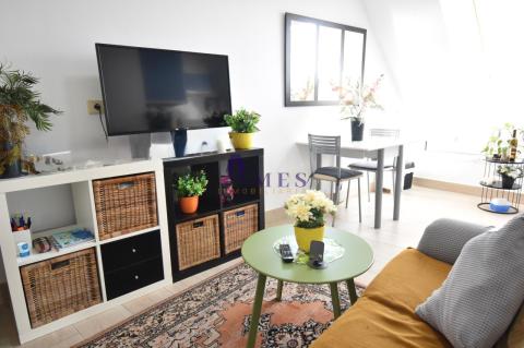 Salon comedor y cocina americana