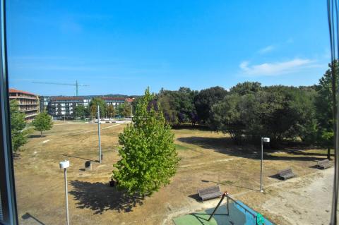 Vistas
